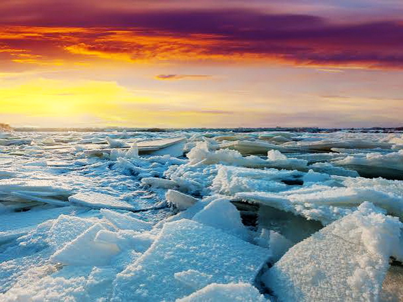arctic 1