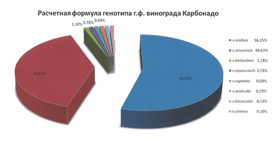 Karbonado Formula