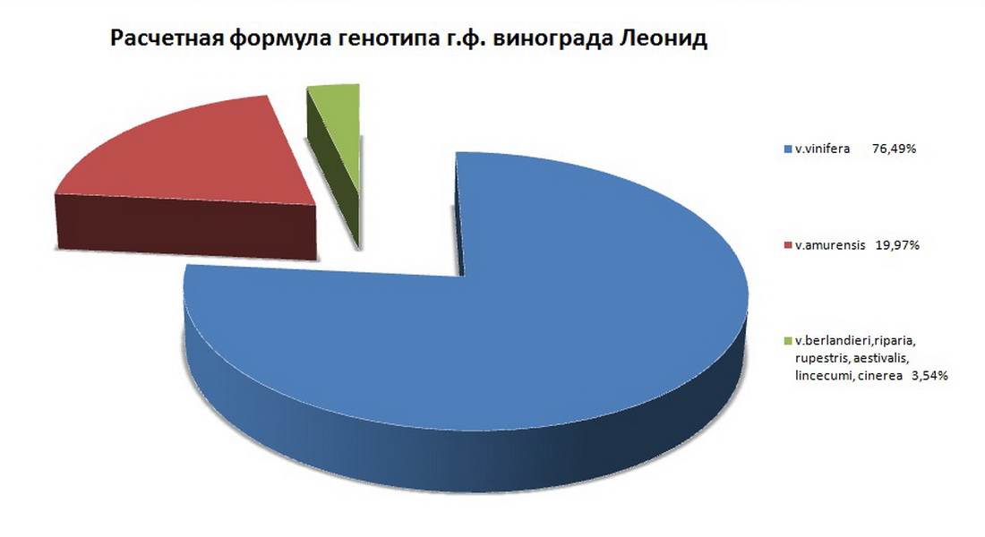 Leonid rus