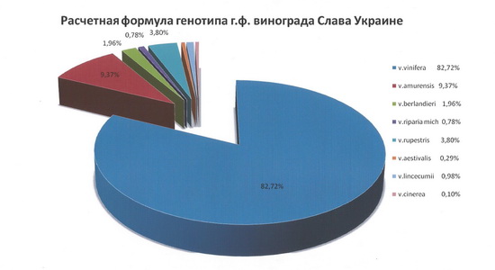 SlavaUkraine Formula