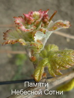 PNS kod 003