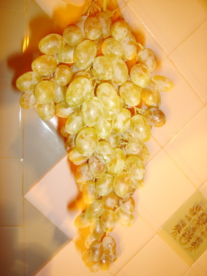 Selekciya 2007 8