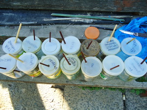 Selekciya 2011 1