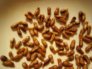 Selekciya 2011 3