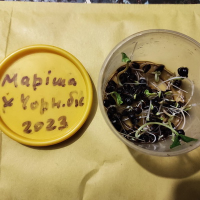 Selekcia 2024 3